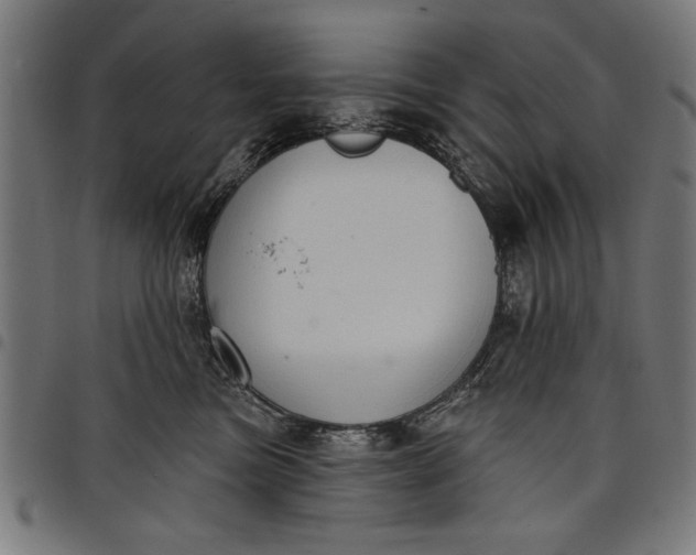 X0000097870473200803281206