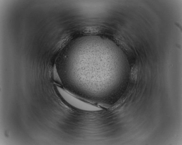 X0000097870474200803281206