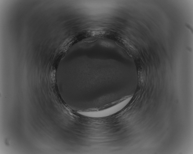 X0000097870475200803281206