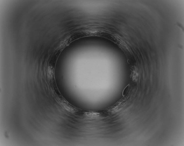 X0000097870476200803281206