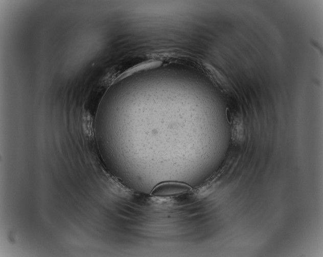 X0000097870477200803281206