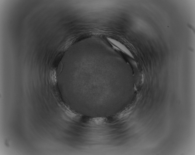 X0000097870479200803281206