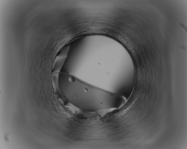 X0000097870481200803281205