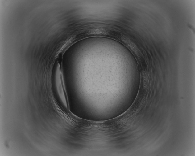 X0000097870482200803281205