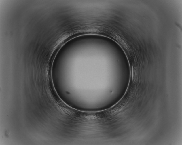 X0000097870483200803281205