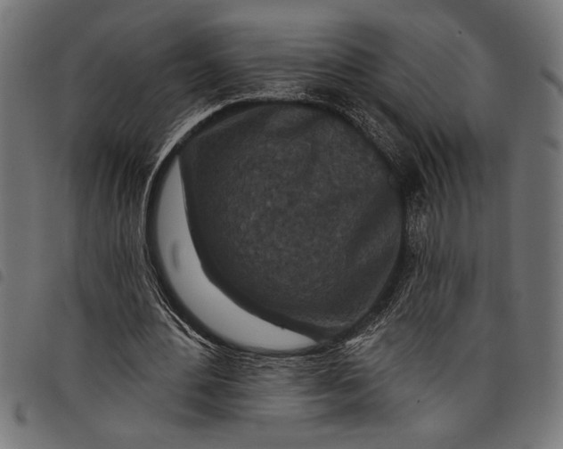 X0000097870484200803281205
