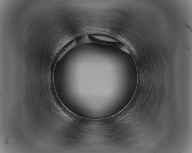X0000097870485200803281205