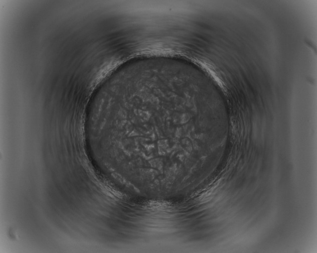 X0000097870487200803281205