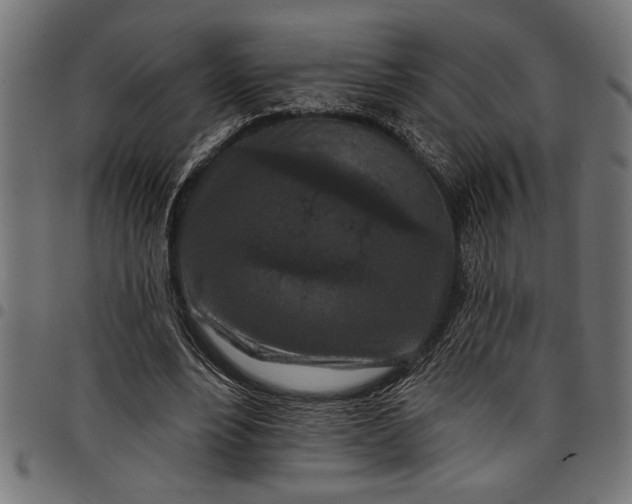 X0000097870488200803281205