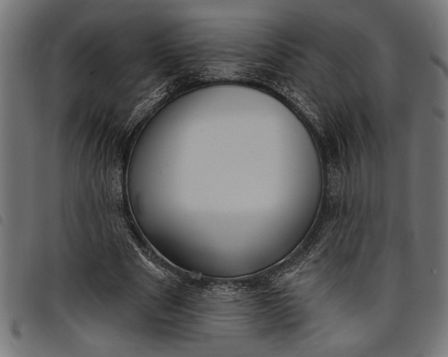 X0000097870489200803281205