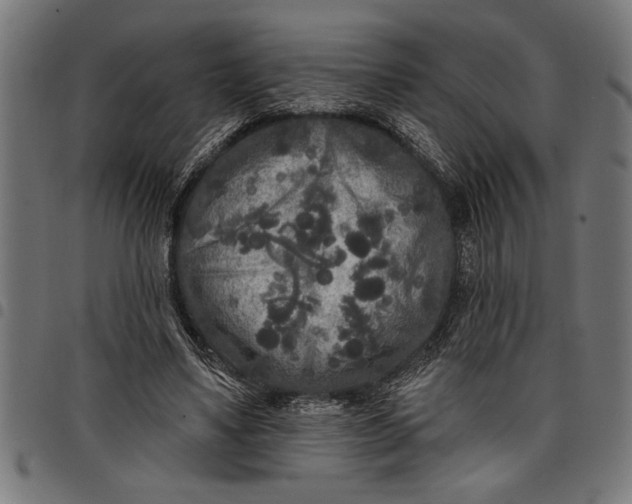 X0000097870491200803281205