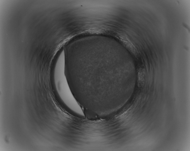 X0000097870492200803281205