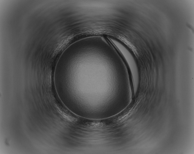 X0000097870493200803281204