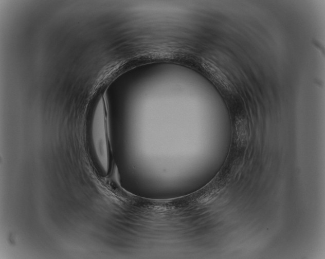 X0000097870494200803281204