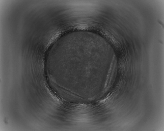X0000097870496200803281204