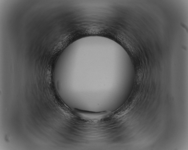 X0000097870497200803281204