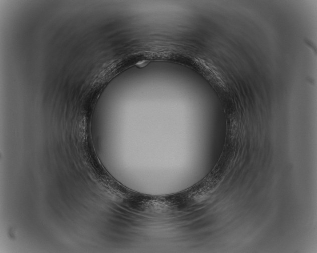 X0000097870498200803281204