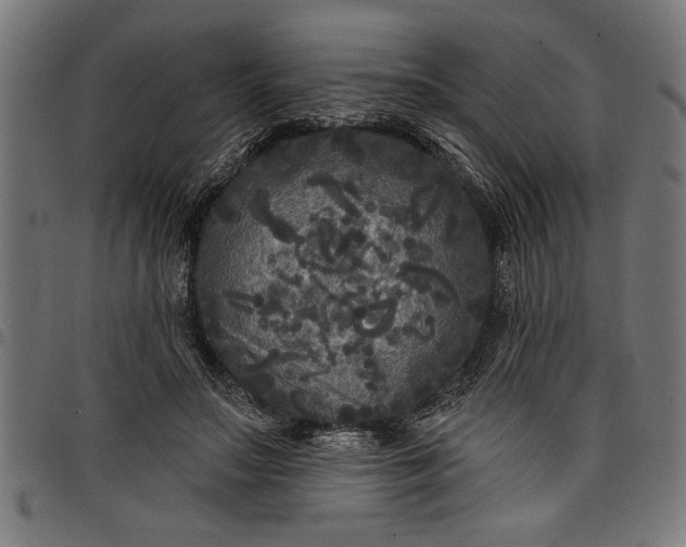 X0000097870499200803281204