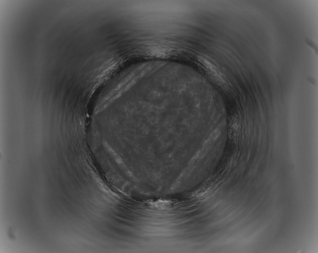 X0000097870500200803281204