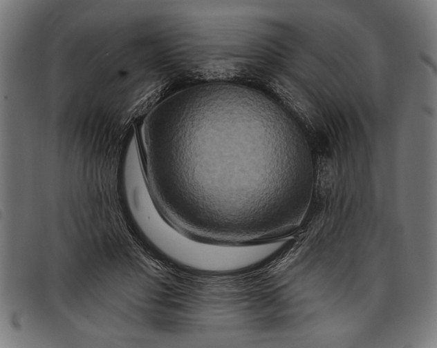 X0000097870501200803281204