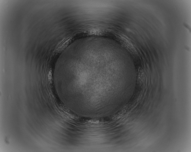 X0000097870502200803281204