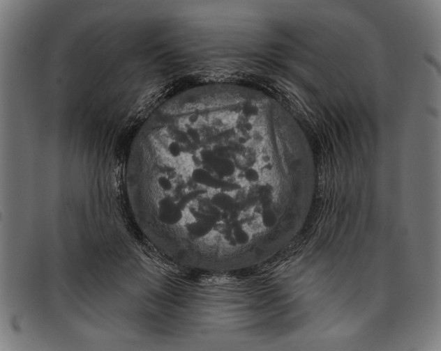 X0000097870503200803281204