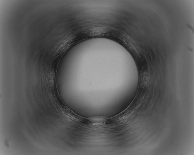 X0000097870505200803281204