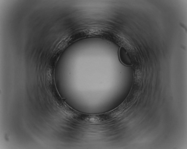 X0000097870506200803281204