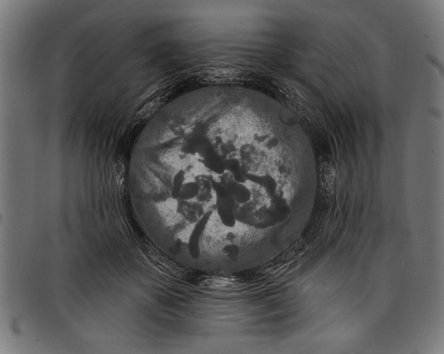 X0000097870507200803281204