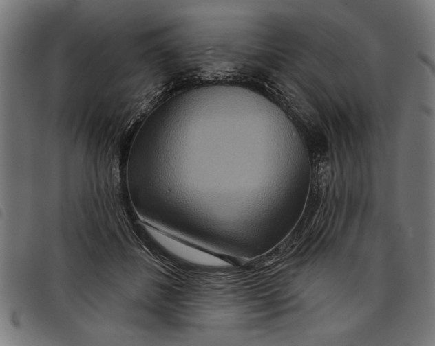 X0000097870508200803281204