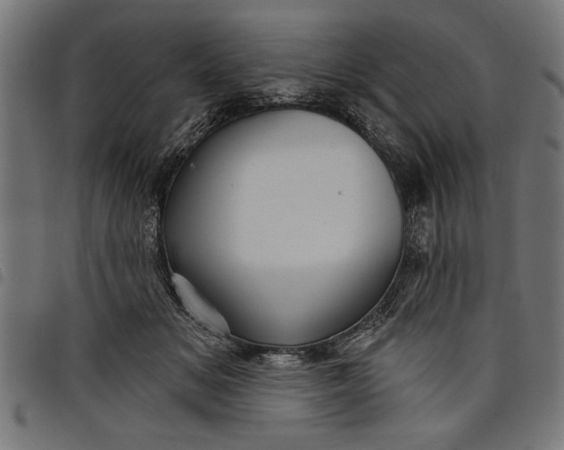 X0000097870509200803281204