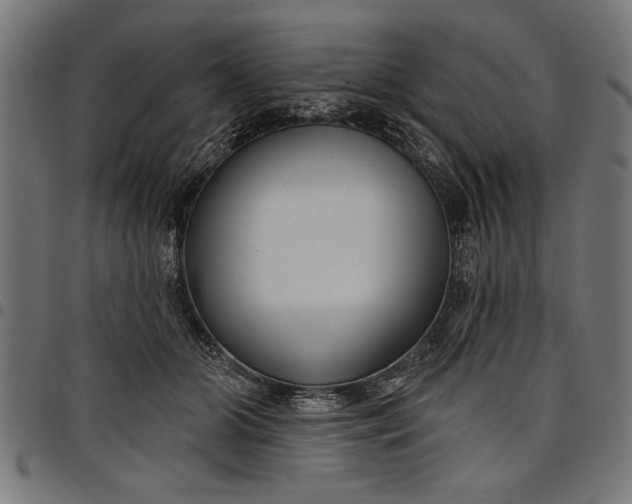 X0000097870510200803281204