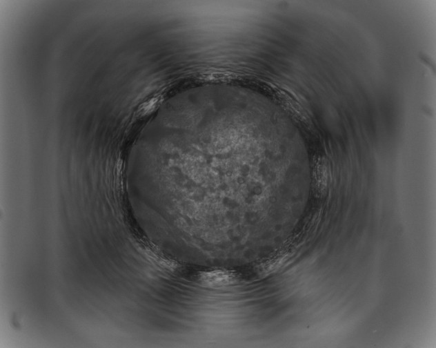 X0000097870511200803281204