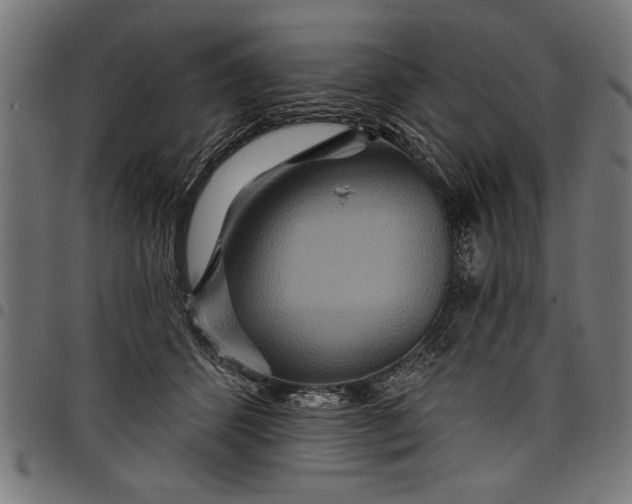 X0000097870512200803281204