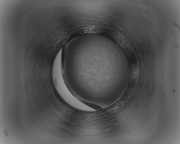 X0000097870513200803281204