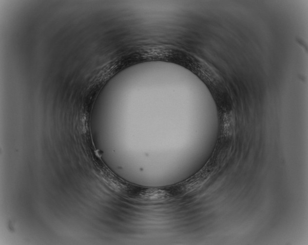 X0000097870514200803281204