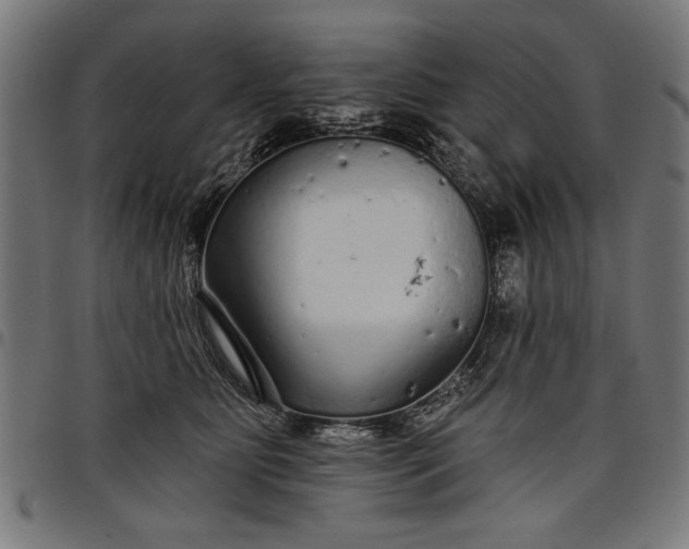 X0000097870515200803281204
