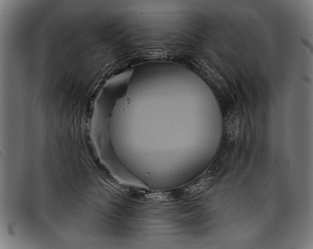 X0000097870516200803281204