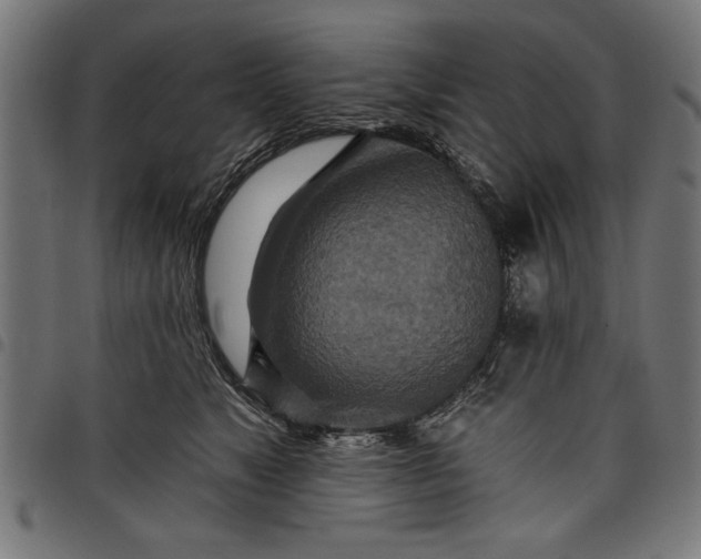 X0000097870517200803281204