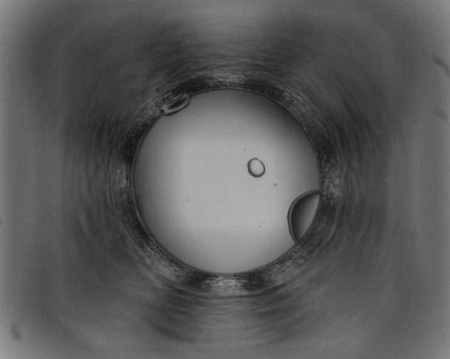 X0000097870518200803281204