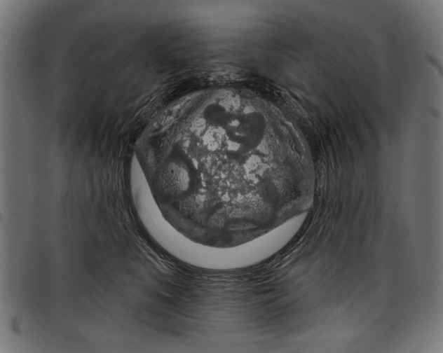 X0000097870519200803281204