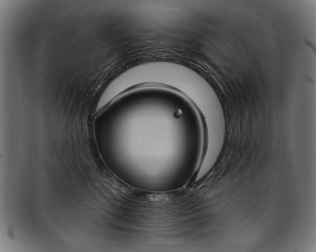 X0000097870520200803281204