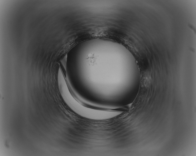 X0000097870521200803281204