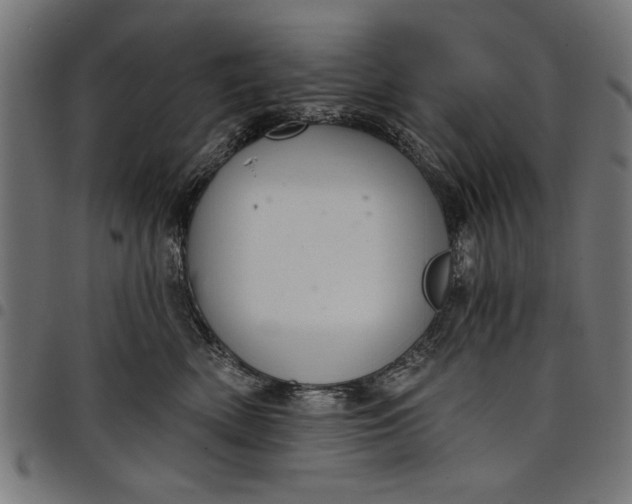 X0000097870522200803281204
