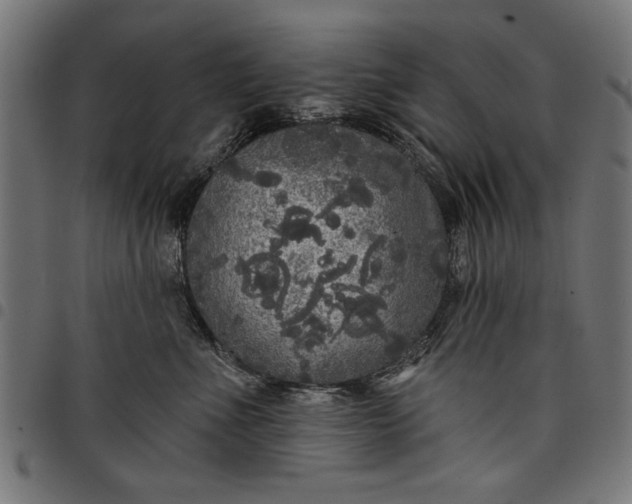 X0000097870523200803281204