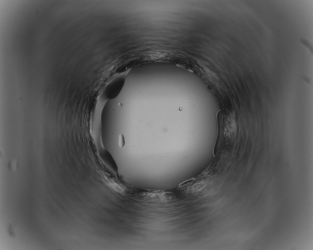 X0000097870524200803281204