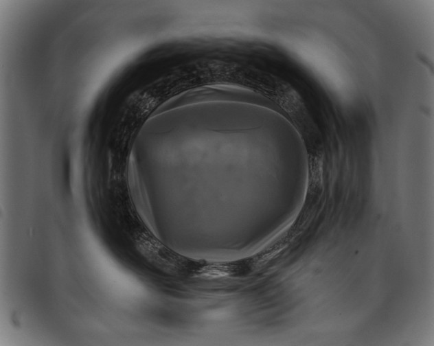 X0000097870526200803281204