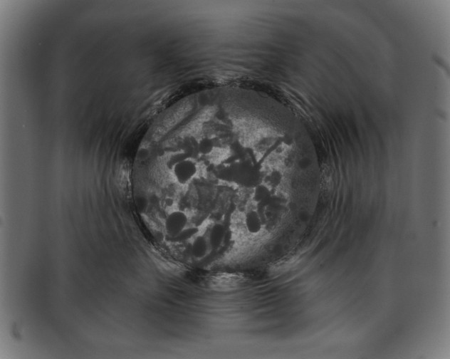 X0000097870527200803281204