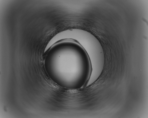 X0000097870528200803281204