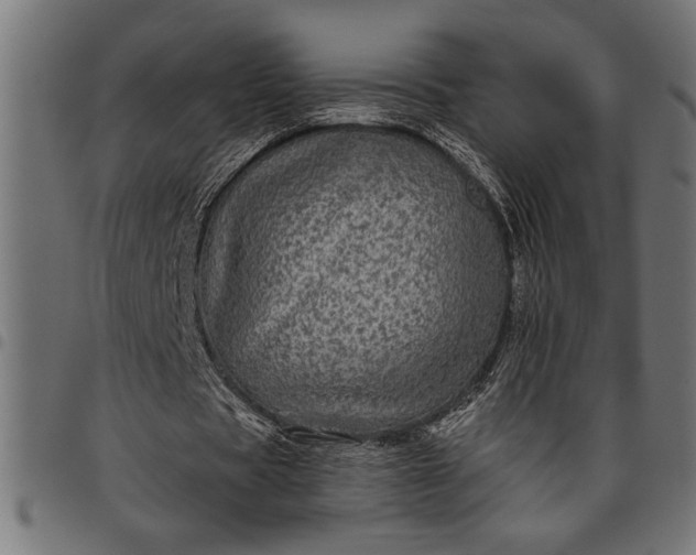 X0000097870529200803281203